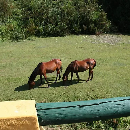 Quinta De S. Jose *